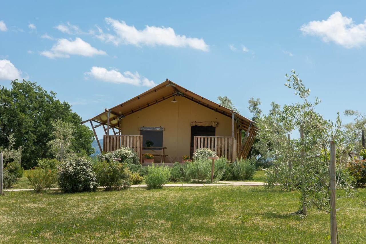 Agriturismo L'Antica Fornace Peccioli Exterior foto