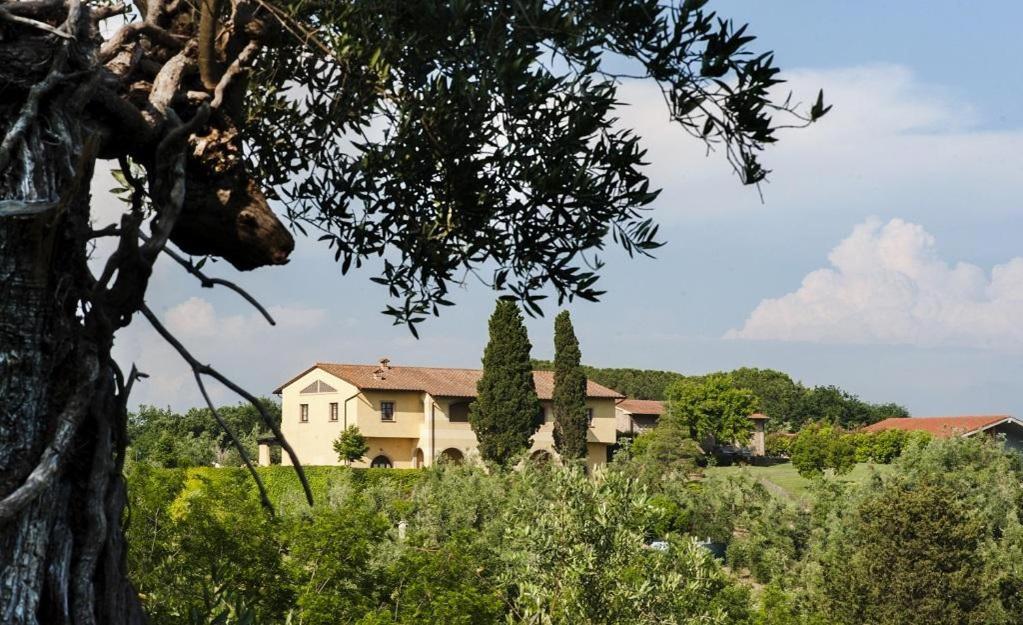 Agriturismo L'Antica Fornace Peccioli Exterior foto